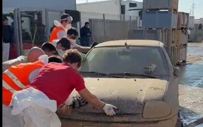 Captura de pantalla 2024-11-28 181904