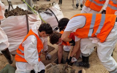 WhatsApp Image 2024-11-22 at 13.56.12