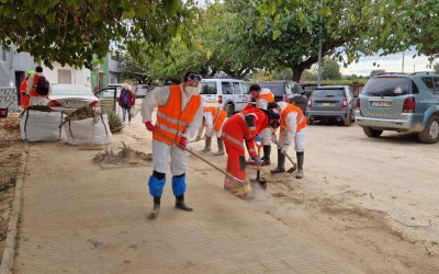 WhatsApp Image 2024-11-22 at 13.56.13 (1)