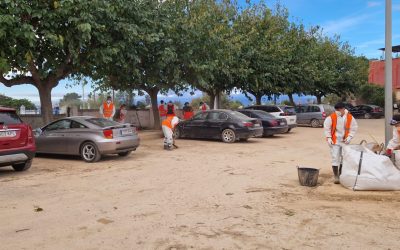 WhatsApp Image 2024-11-22 at 13.56.13