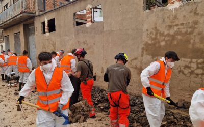 WhatsApp Image 2024-11-22 at 13.56.14 (1)