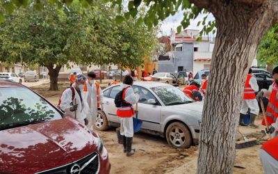 WhatsApp Image 2024-11-22 at 13.56.14