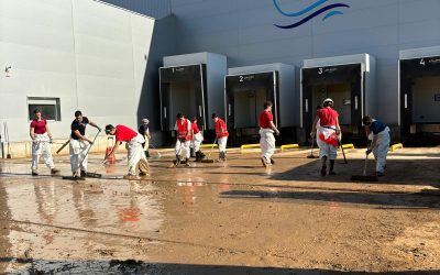 WhatsApp Image 2024-11-28 at 13.51.17 (1)