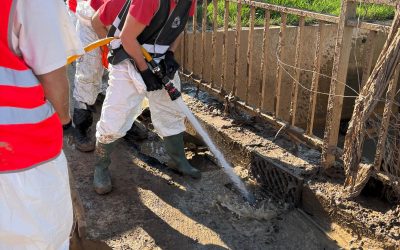 WhatsApp Image 2024-11-28 at 13.51.17 (2)