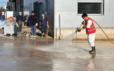 WhatsApp Image 2024-11-28 at 14.08.46