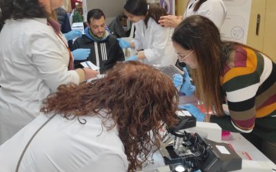 Imagen de WhatsApp 2025-03-21 a las 09.46.52_d79c4aa0