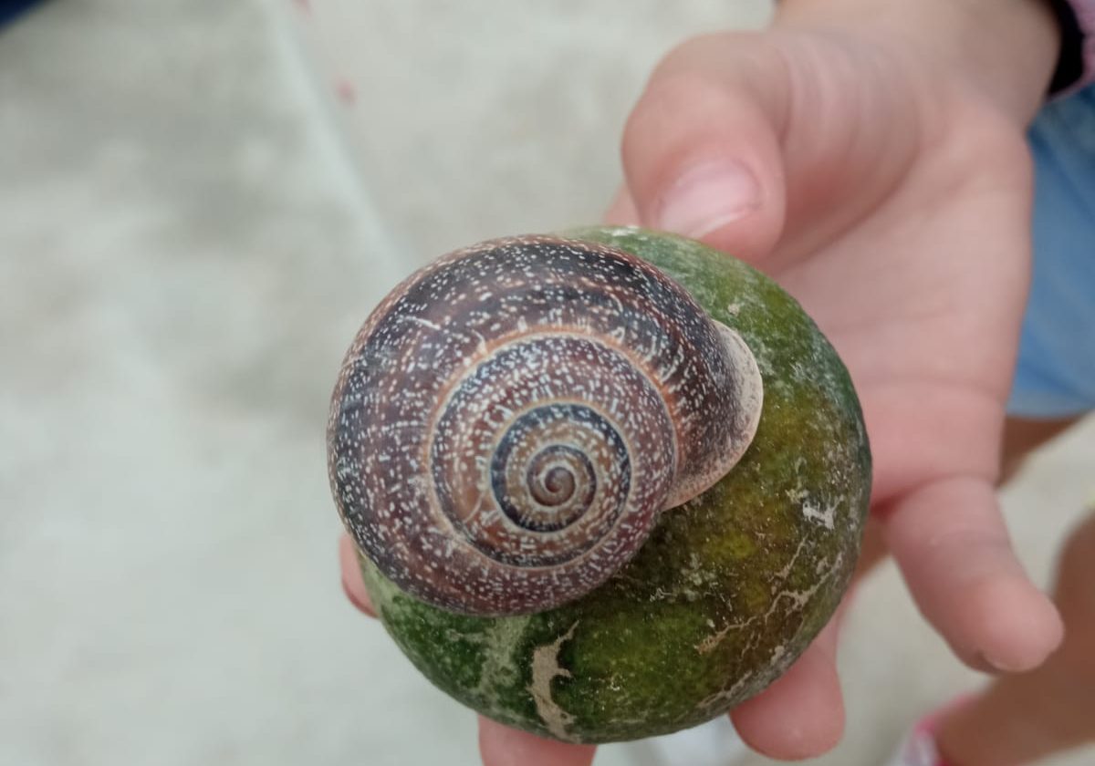 9cc3a9c3-044c-4f96-aa28-b67ba310e1d4