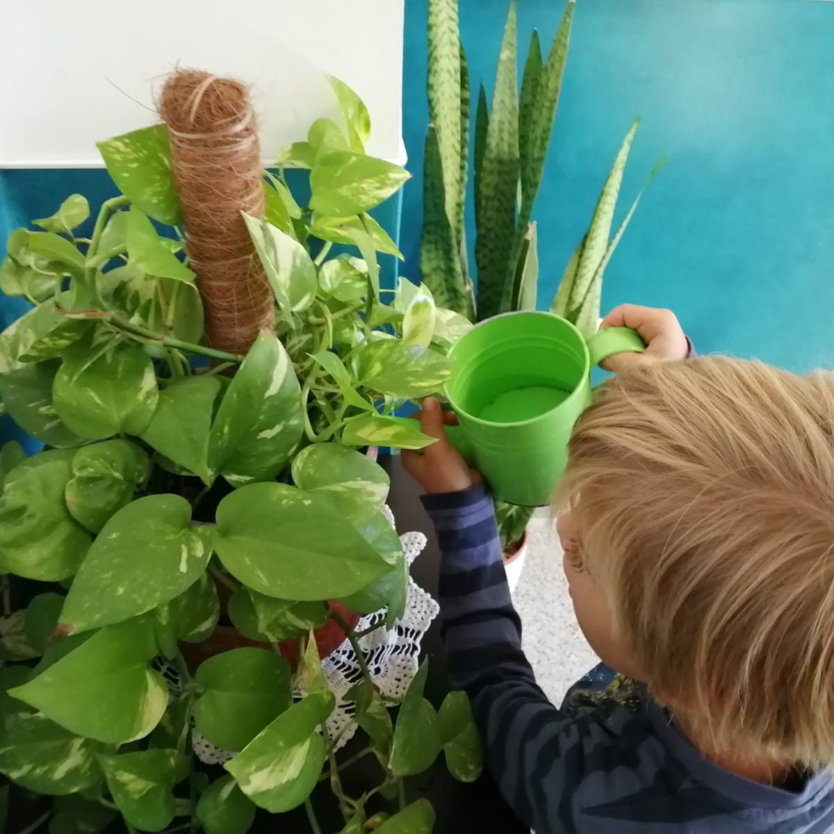 a739ec1b-f376-43d3-b09d-1ab2d0578b8b