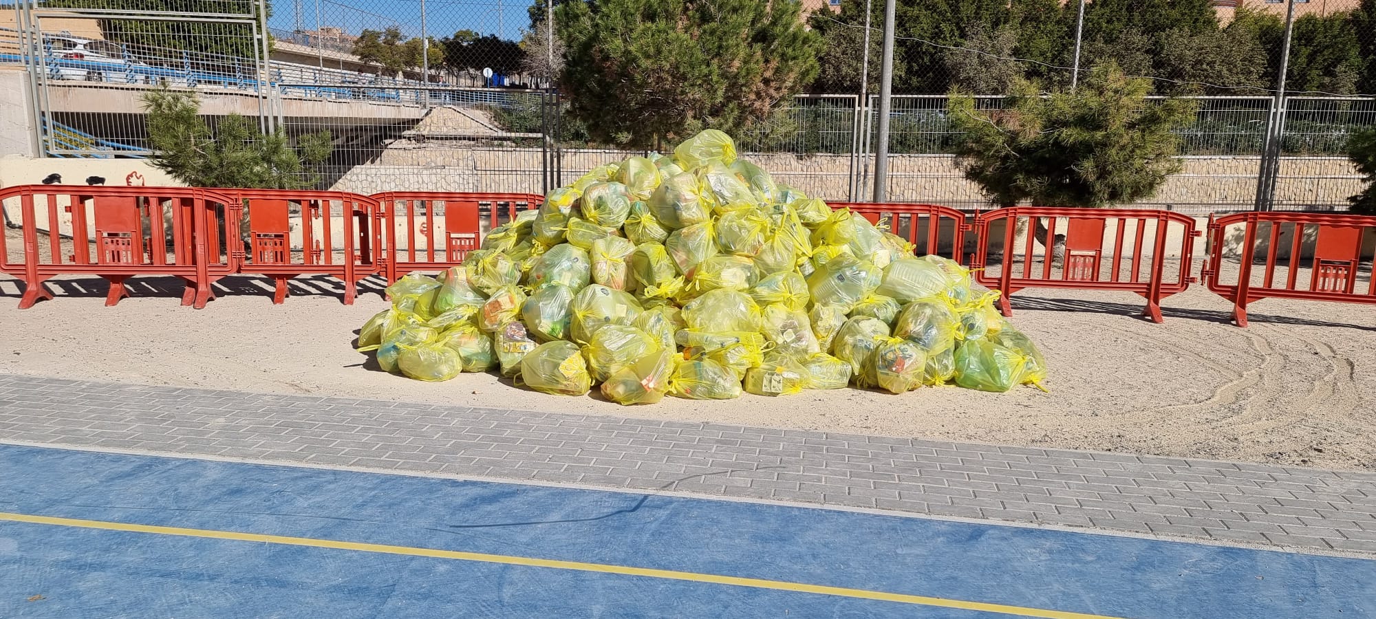 WhatsApp-Image-2025-01-24-at-15.40.502