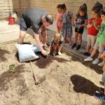 WhatsApp Image 2022-06-06 at 9.24.50 AM (1)