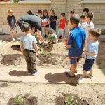 WhatsApp Image 2022-06-06 at 9.24.50 AM (2)