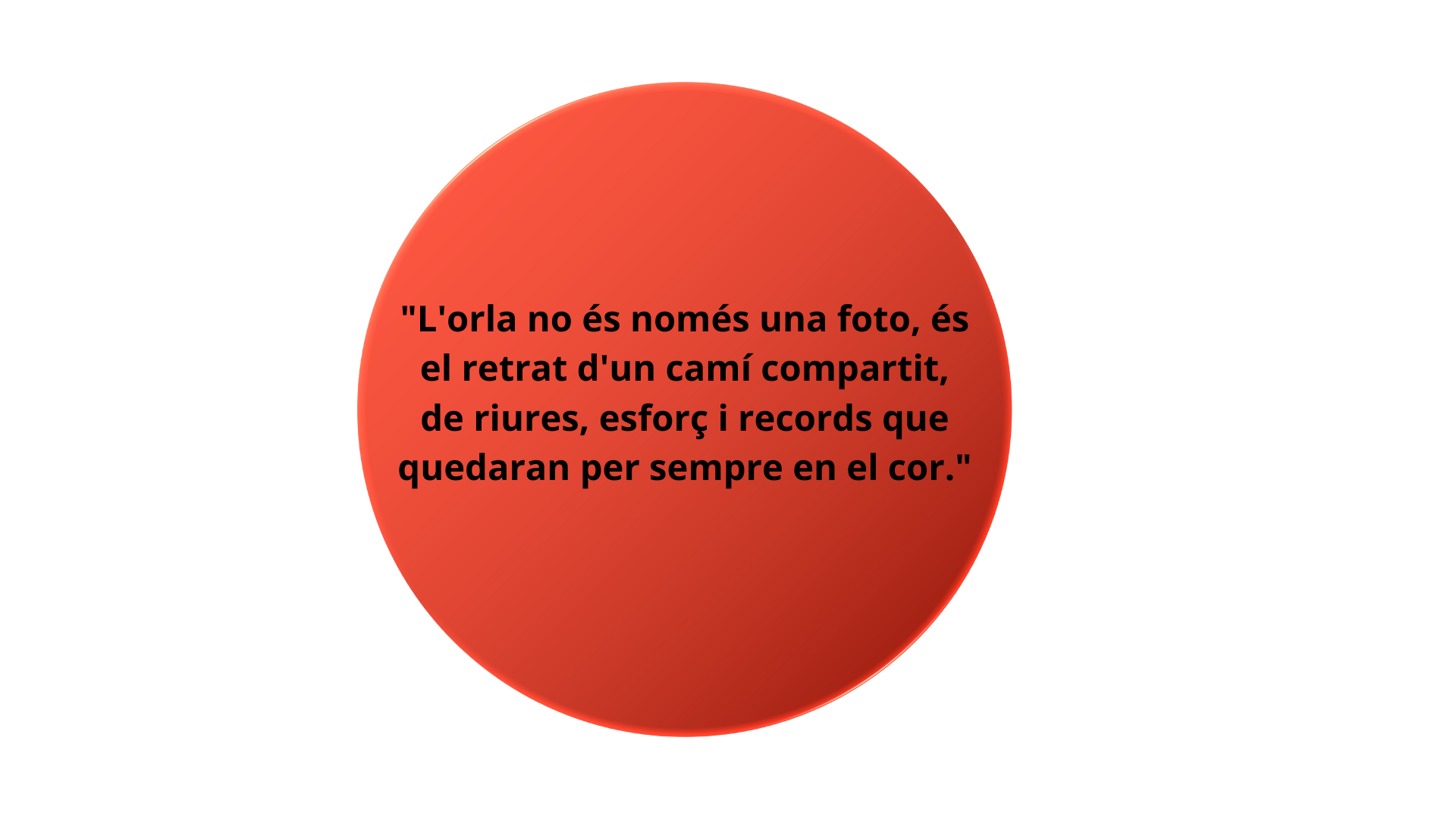Adobe Express - file(4)