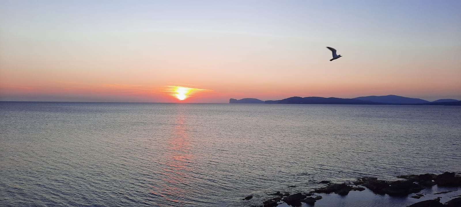 WhatsApp Image 2022-03-08 at 19.18.39