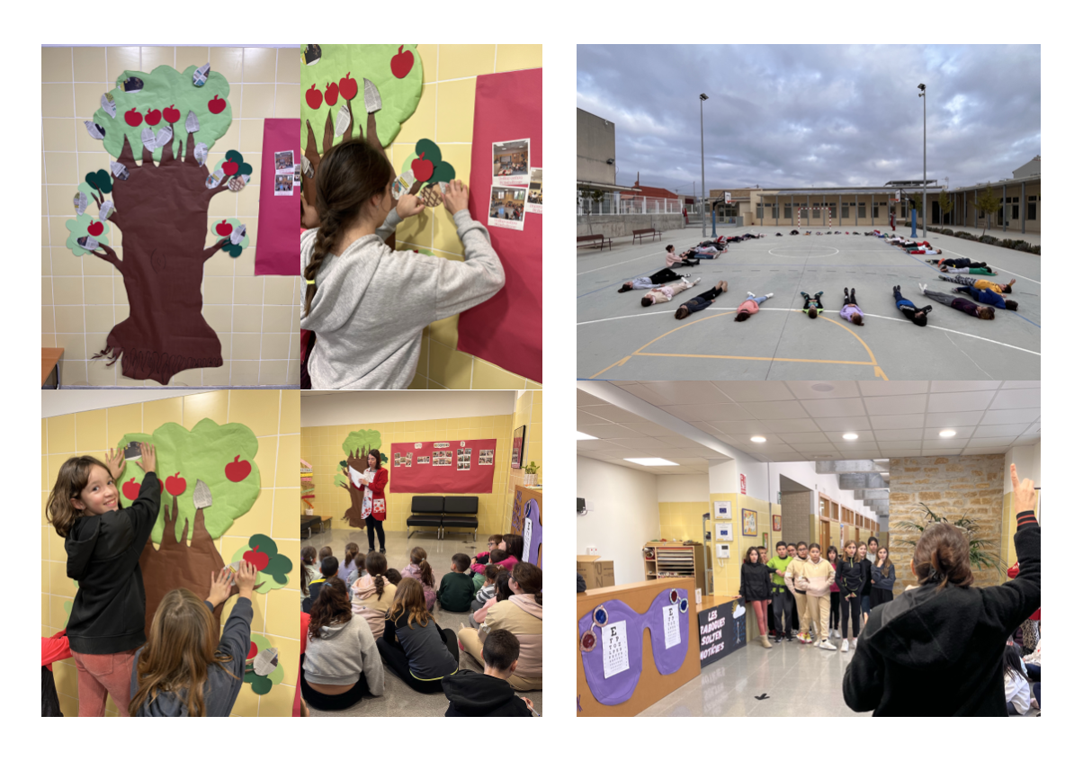 Captura de pantalla 2024-02-14 a les 16.05.16