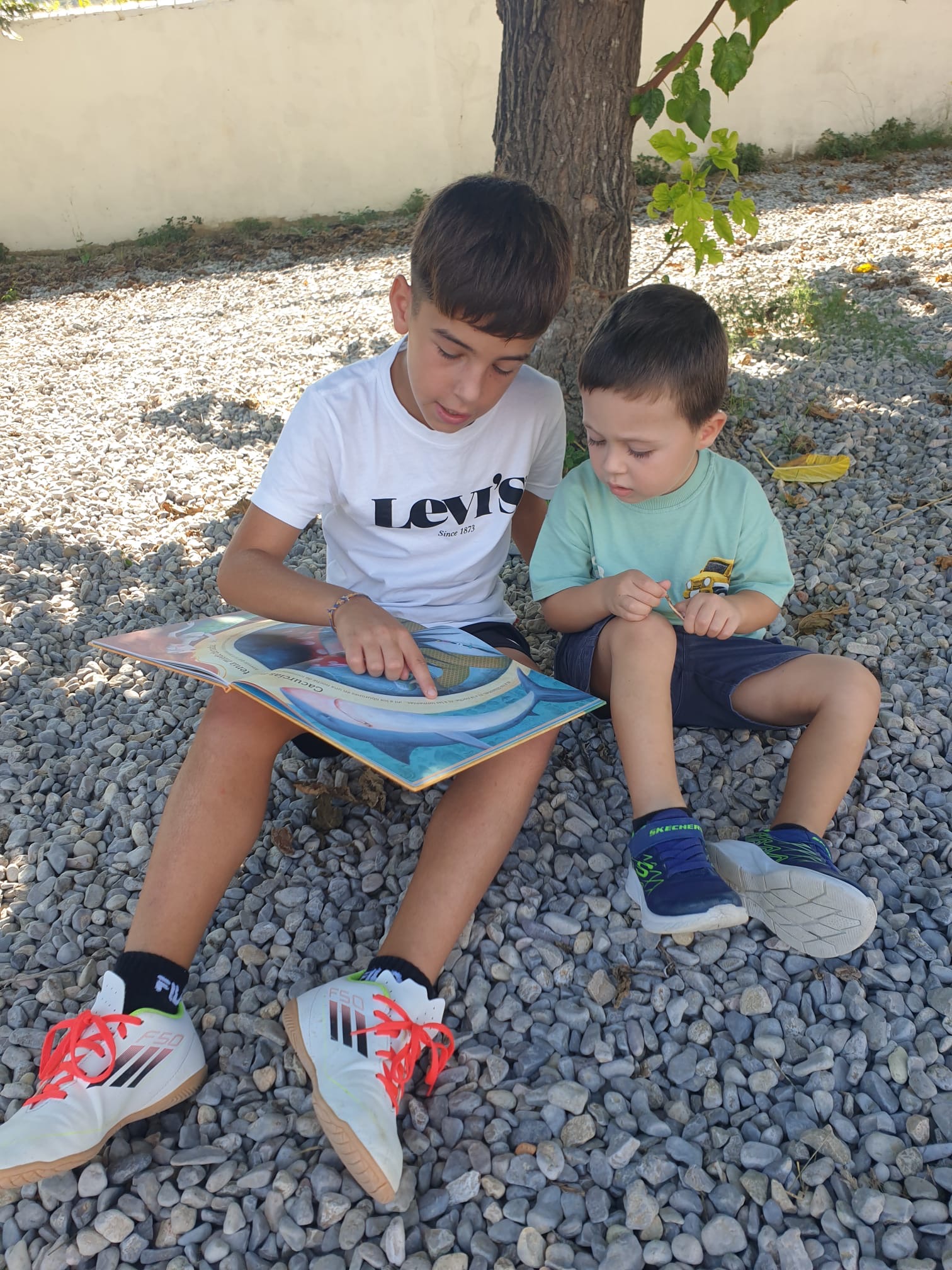 b56b9b95-b279-4000-8baf-87b56e3e78ef 2