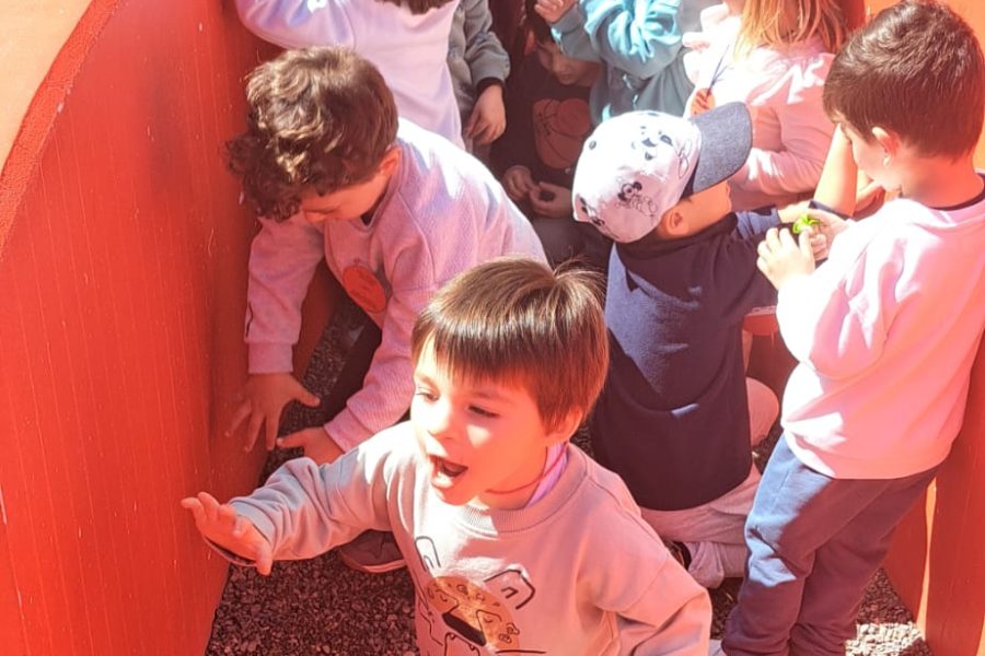 20250326_221818000_iOS