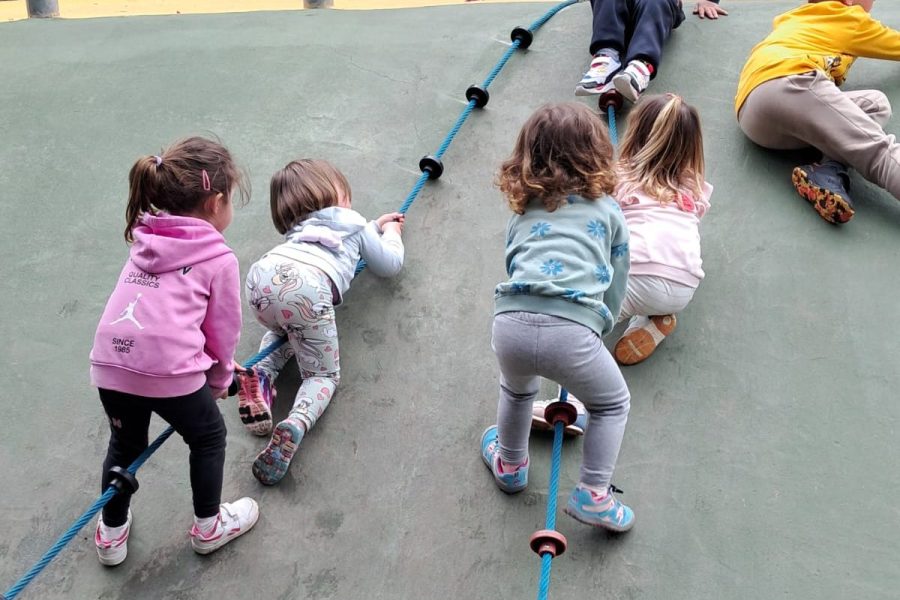 20250328_152946000_iOS 2