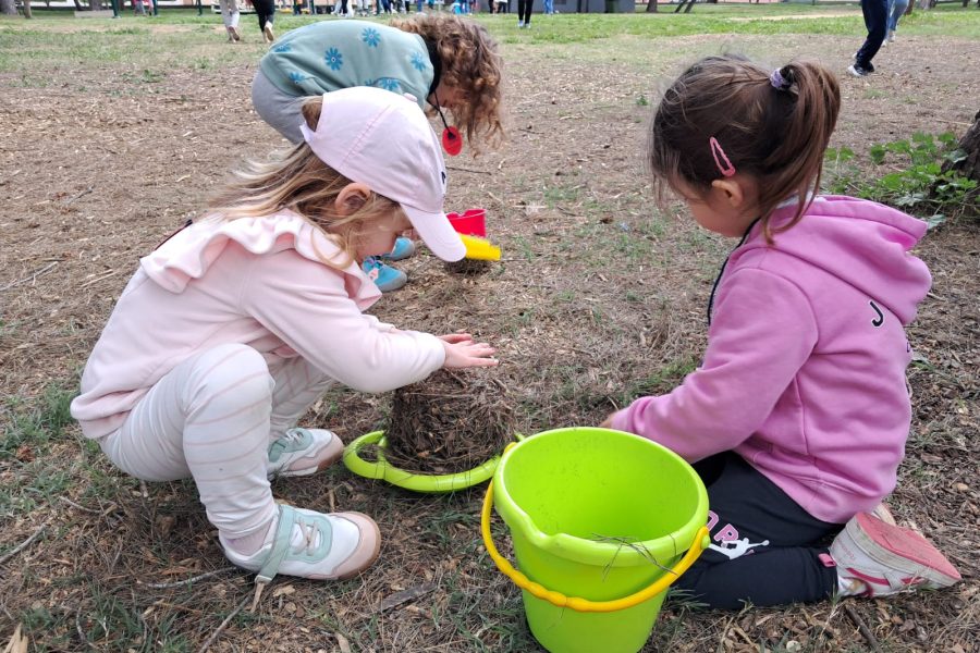 20250328_152946000_iOS