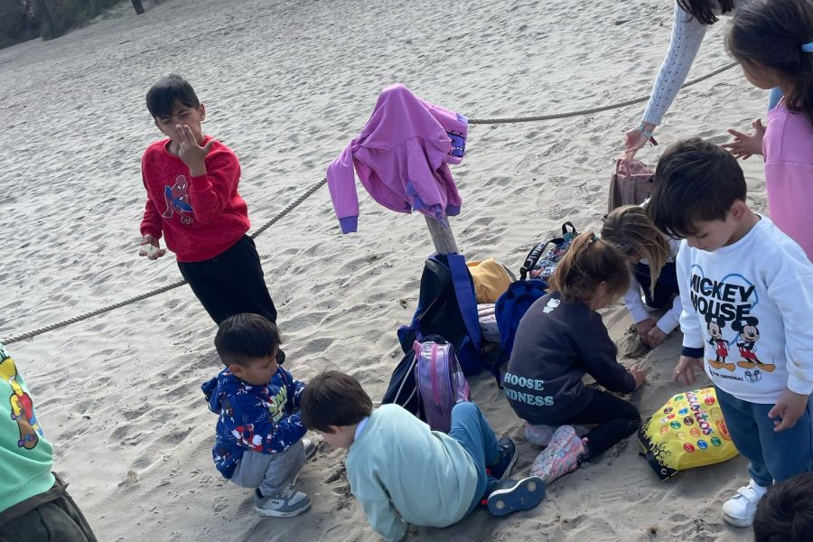 20250328_154122000_iOS