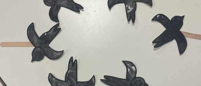 WhatsApp Image 2025-10-10 at 18.29.32