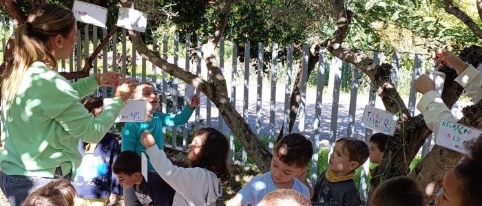 111dbffc-deb0-4f92-a137-c3dcacd00f83