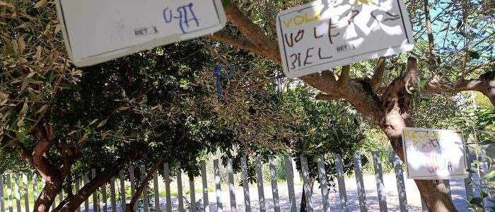 cbff9893-d074-4874-8772-e5fc7730a6ee