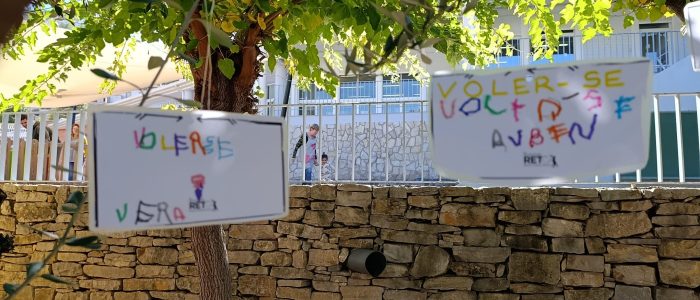 ce0bb680-ee89-43b8-bbe2-76cc9aa58011