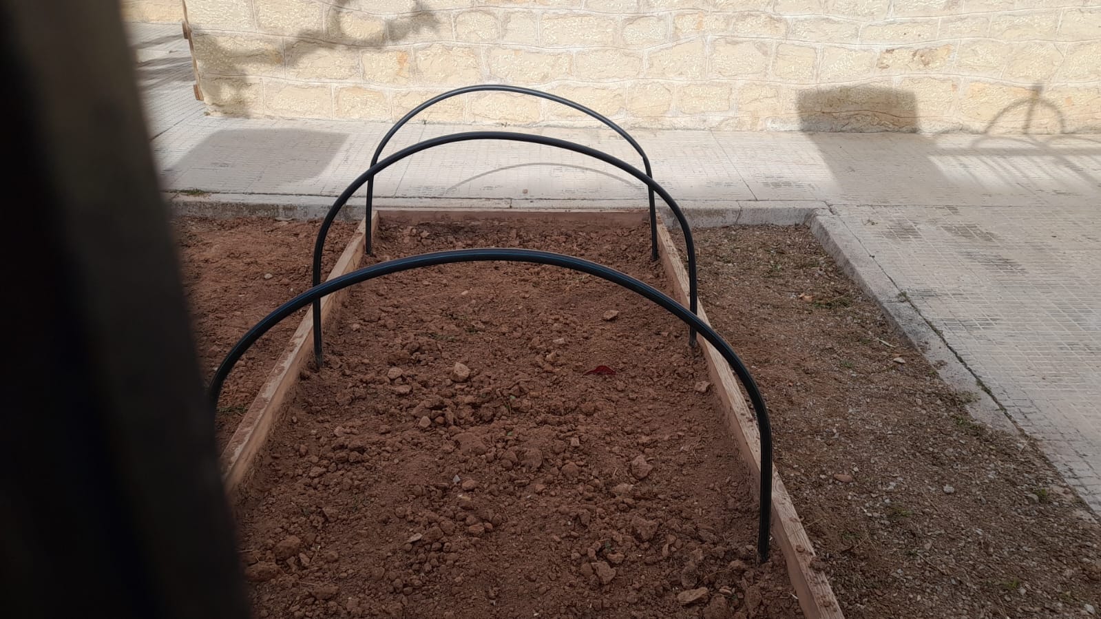 1a sesión huerto escolar 2024-2025