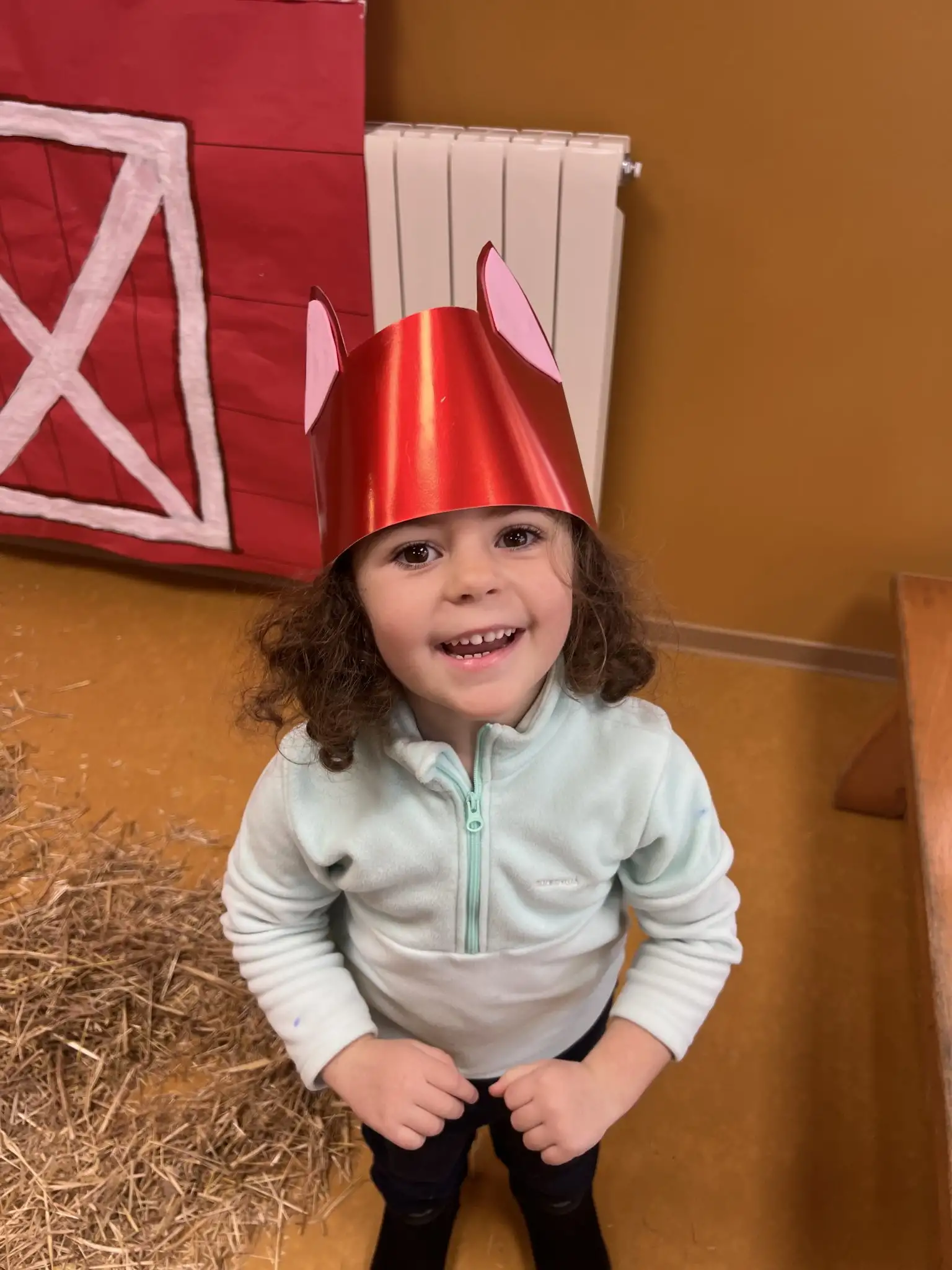 Comencem una nova aventura: investiguem “Mig Pollastre” d’Enric Valor