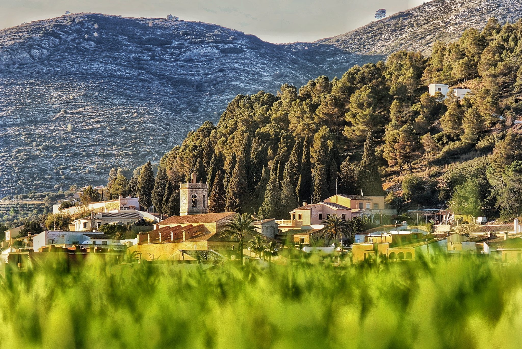 Autora_ Yolanda Ronda-2