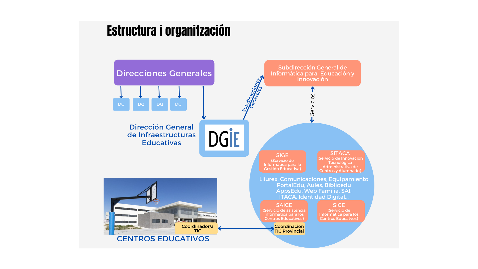 Estructura y organización