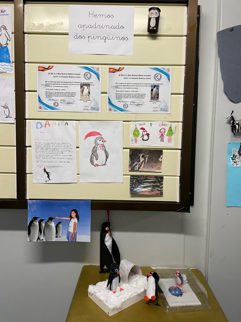 proyectos colegio