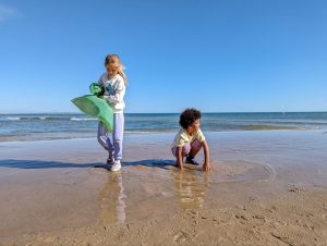visita playa guardamar Ecosistemas