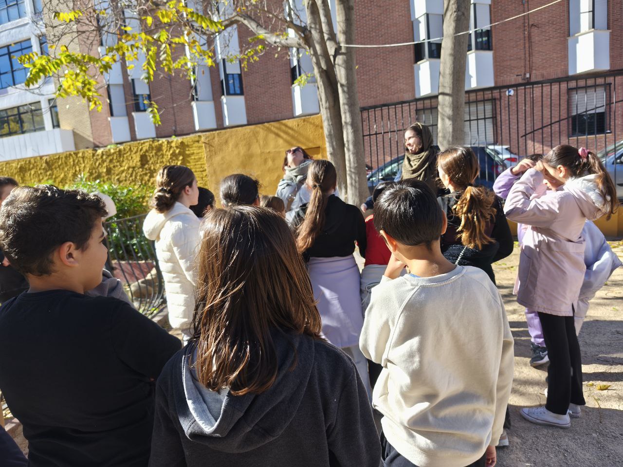 IMG_20251122_100013_906