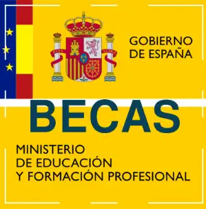 Captura_becas mec