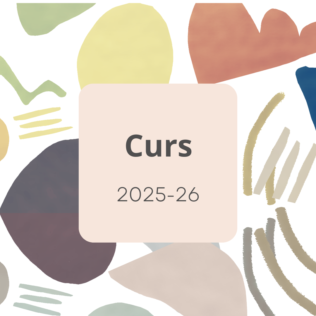 Curs 25-26 vlc