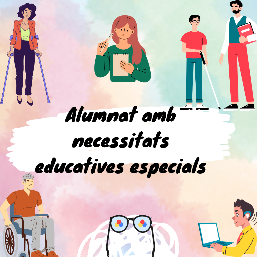 Alumnat amb NESE web - val