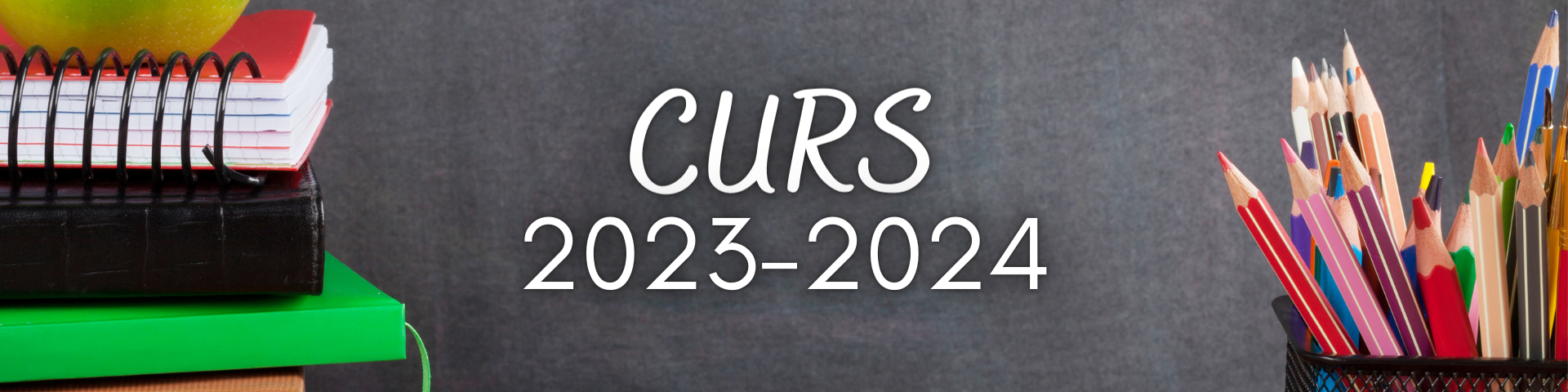 CURS 2023-2024