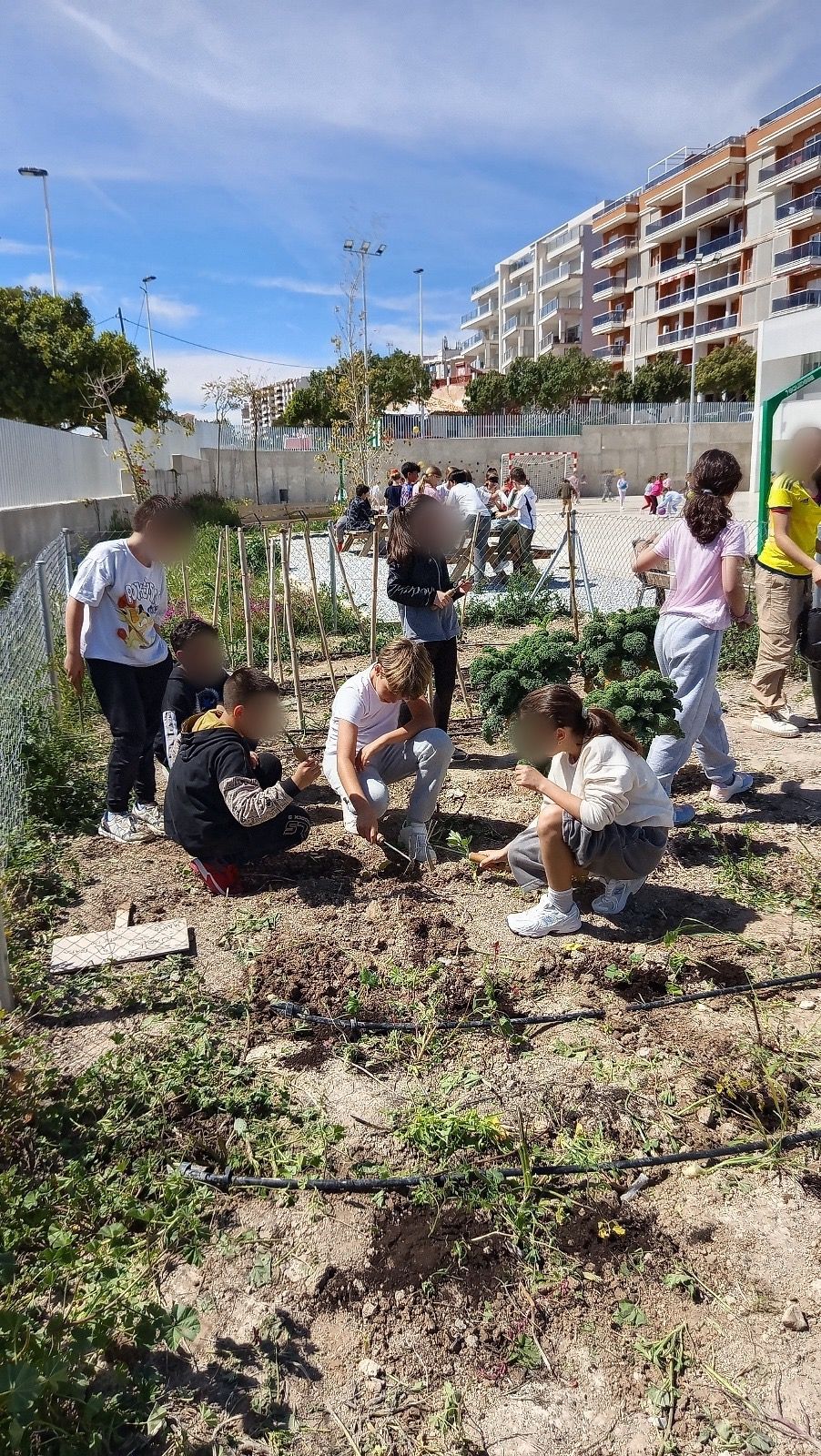 Imagen de WhatsApp 2025-07-01 a las 11.21.05_5dd11bb2