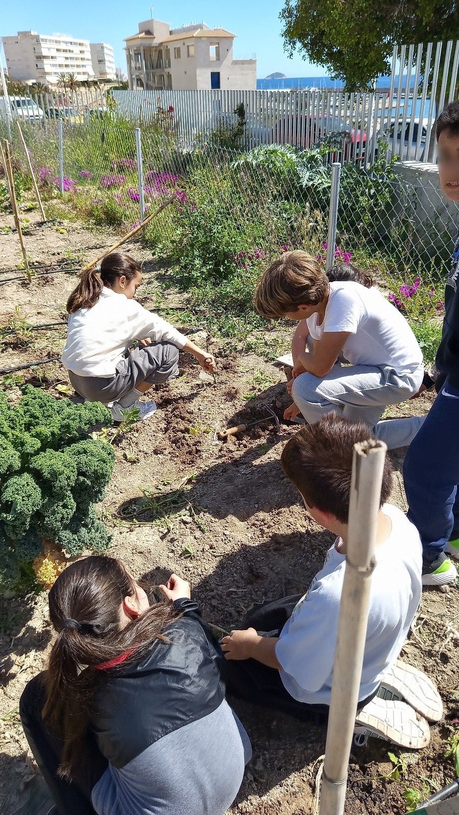 Imagen de WhatsApp 2025-07-01 a las 11.21.19_02c06fca