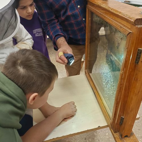 d5acfe2e-3dcd-4ee5-bec4-c5124f6c9814