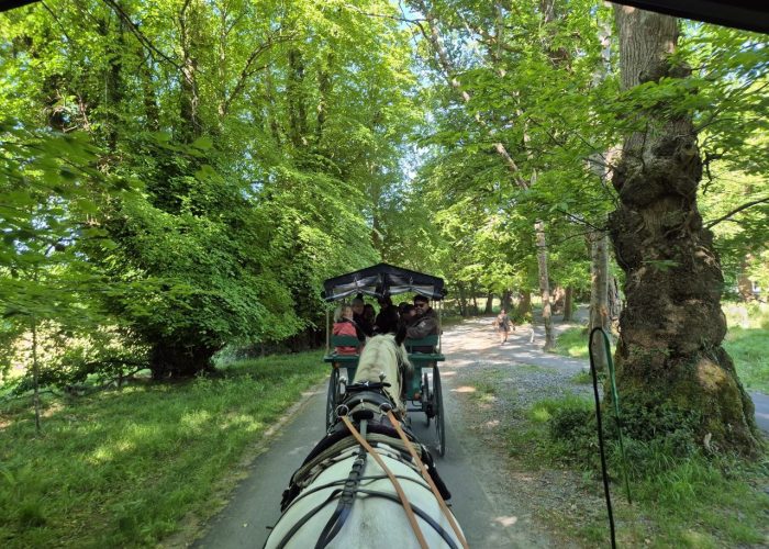 photo_5951978924932186887_y