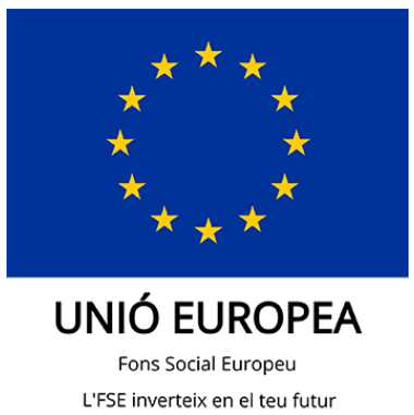 logo_UE_fons