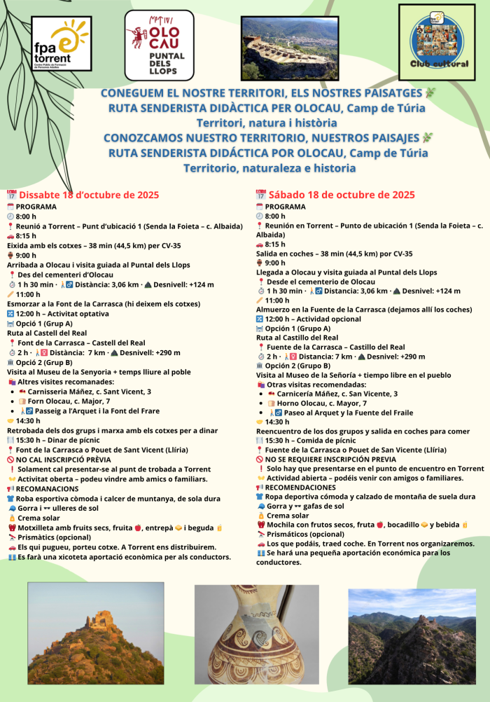 Green and Cream Simple Aesthetic Background Poster (1)