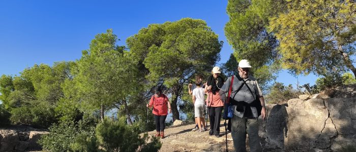 WhatsApp Image 2025-10-18 at 18.33.43 (15)