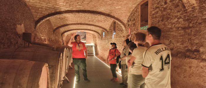 WhatsApp Image 2025-10-18 at 18.33.43 (18)