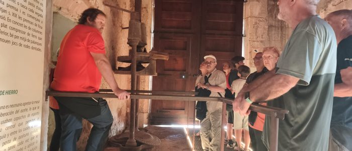 WhatsApp Image 2025-10-18 at 18.33.43 (19)