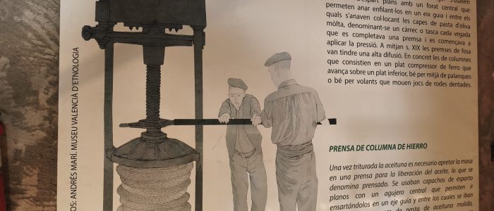 WhatsApp Image 2025-10-18 at 18.33.43 (21)