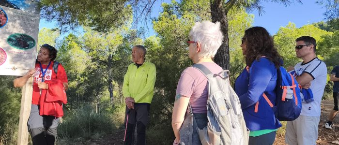 WhatsApp Image 2025-10-18 at 18.33.43 (25)