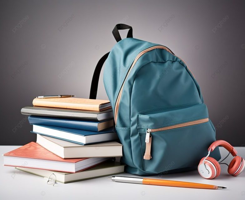 Llista de llibres 2024-25